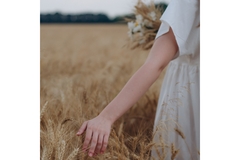 Image A woman runs her hand over some barley grain in a field.